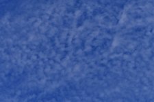 _ROY7037_00001.jpg