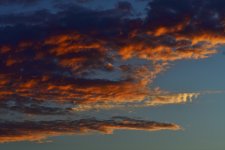 _ROY7076_00001.jpg
