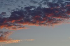 _ROY7078_00001.jpg