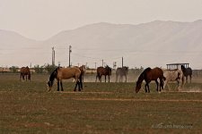 07-15-2020__D7K3424-ON1.jpg