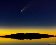 W_D85_8892.jpg