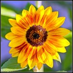DSC_9292-Edit.jpg