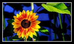DSC_9315-Edit.jpg