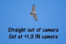 As Shot.jpg