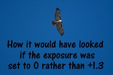 If no exposure adjustment was made in camera.jpg