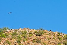 07-18-2020__D7K3473-ON1.jpg