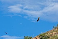 07-18-2020__D7K3479-ON1.jpg
