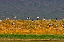 07-19-2020_cr_D7K3516-ON1.jpg