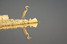 07-19-2020_cr_D7K3530-ON1.jpg