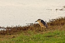 07-19-2020_cr_D7K3544-ON1.jpg