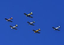 _ROY7914_00001.jpg