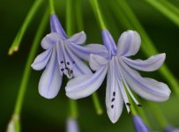 _ROY8516_00001.jpg