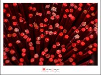 joss-sticks-1.jpg