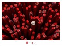 joss-sticks-2.jpg