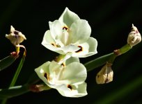 _ROY8543_00001_01.jpg