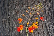 07-22-2020_cr_D7K3561-ON1.jpg