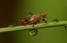 DSC_8467 -4.jpg