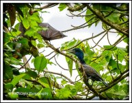 20130524-DSC_7374-2_WLP-2.jpg