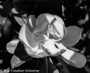 2013153-4330.jpg