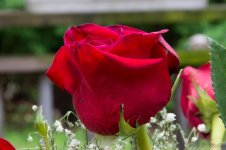 DSC_0216.jpg