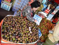 chiangmai-lamphun-37.jpg