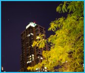 Lonely Star In New York.jpg