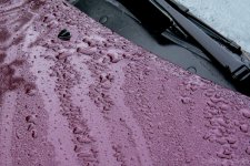 DSC_0295.jpg