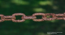 163 Chain-130612_1.jpg