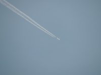 DSCN9805.jpg