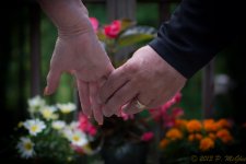 DSC_0170-Edit-2.jpg