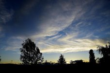 D5100 EVENING LIGHT 001.jpg