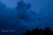 20130612-_1RB5546.jpg