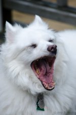 DSC_8278.jpg