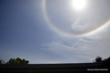 sun 162.jpg
