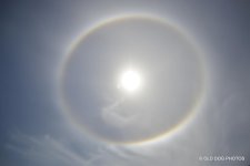 sun 169-001.jpg