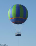 _DSC7347_2.jpg