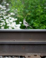 DSC_3967_6729.jpg