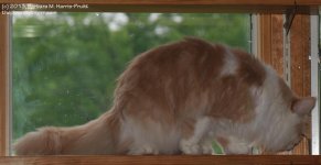 167 Creature-130615-04_1.jpg