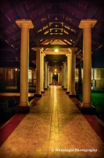 DSC_0001_WLP-11.jpg
