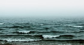 shoreline drive.jpg
