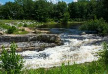 DSC_0554.jpg