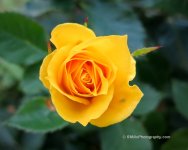 IMG_0174-2.jpg