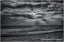 DSC__WLP_0001-2.jpg