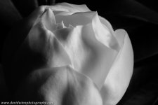 _DW11303-Edit.jpg