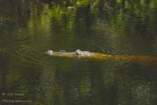 DSC_3688.jpg
