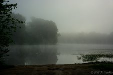 DSC_0566.jpg