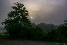 DSC_0570.jpg