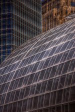 botanical_gardens_cityscape_by_samspade1941-d69ng7p.jpg