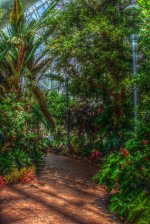 botanical_garden_rainforest_pathway_by_samspade1941-d69ngnb.jpg