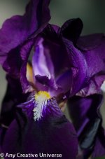2013042-2290.jpg